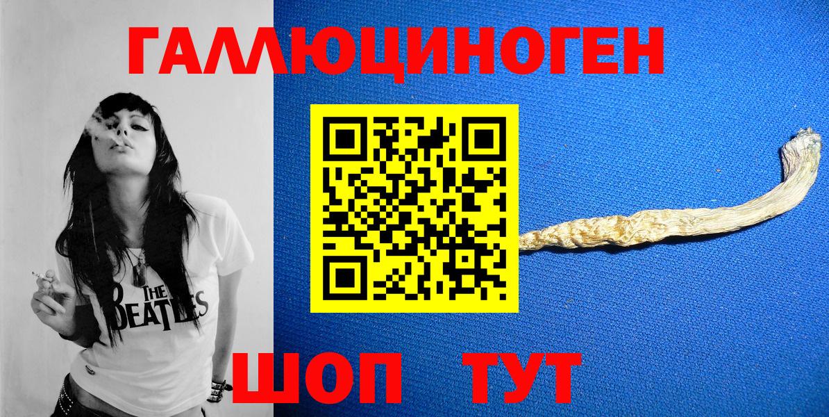 Сегежа  Псилоцибиновые грибы Psilocybe  Вход с VPN 