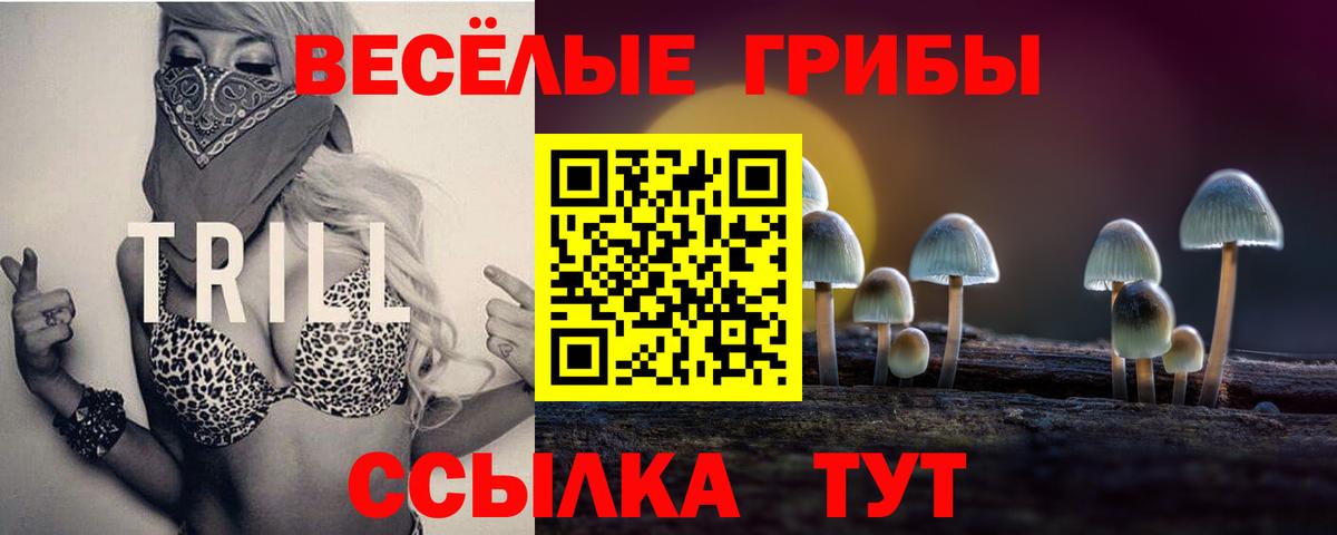 Псилоцибиновые грибы GOLDEN TEACHER Сегежа