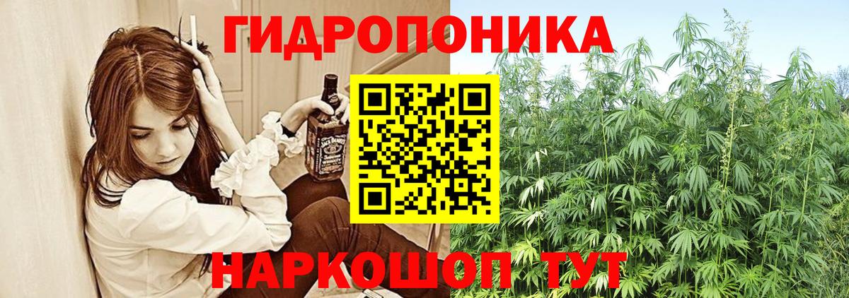 Шишки марихуана MAZAR  Шишки марихуана MAZAR  Сегежа  Вход с VPN  Шишки марихуана семена  Бошки Шишки OG Kush 